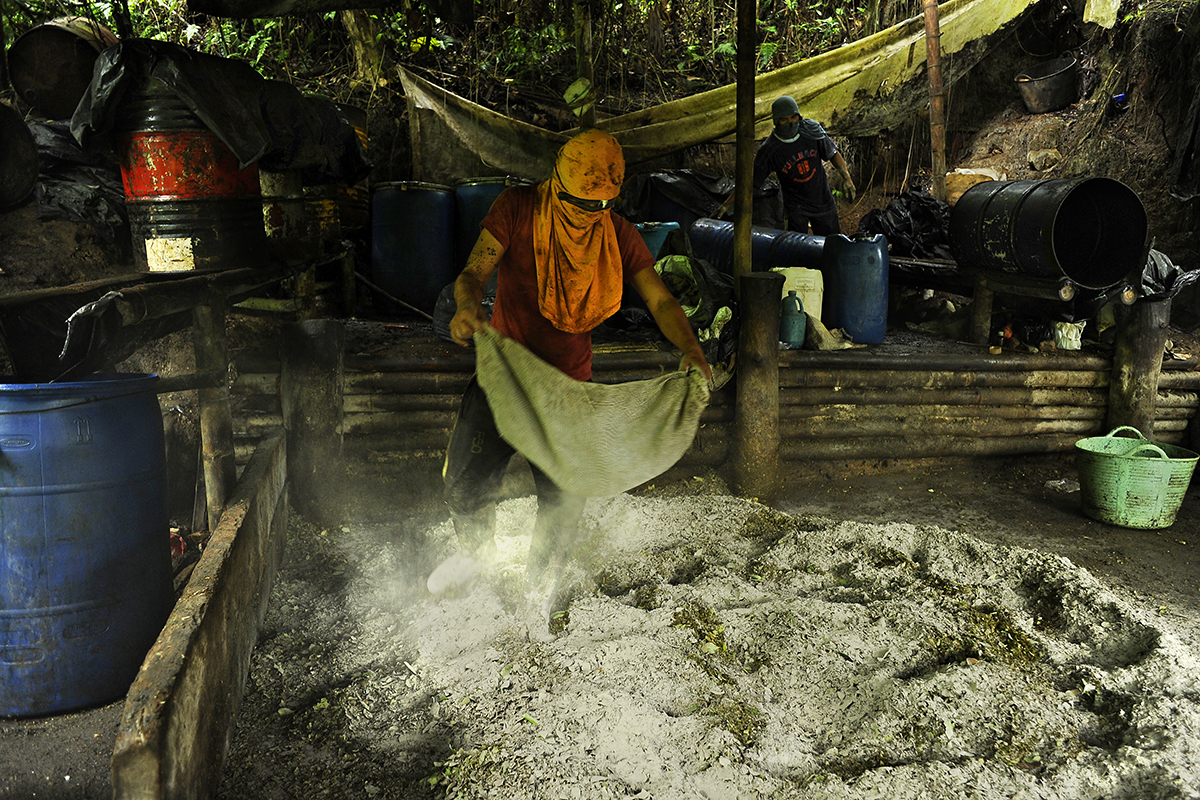 Entretien avec Damien Fellous