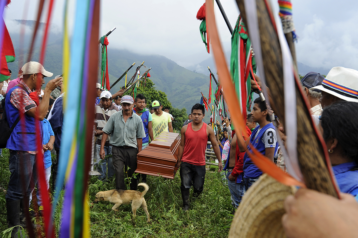 Entretien avec Damien Fellous