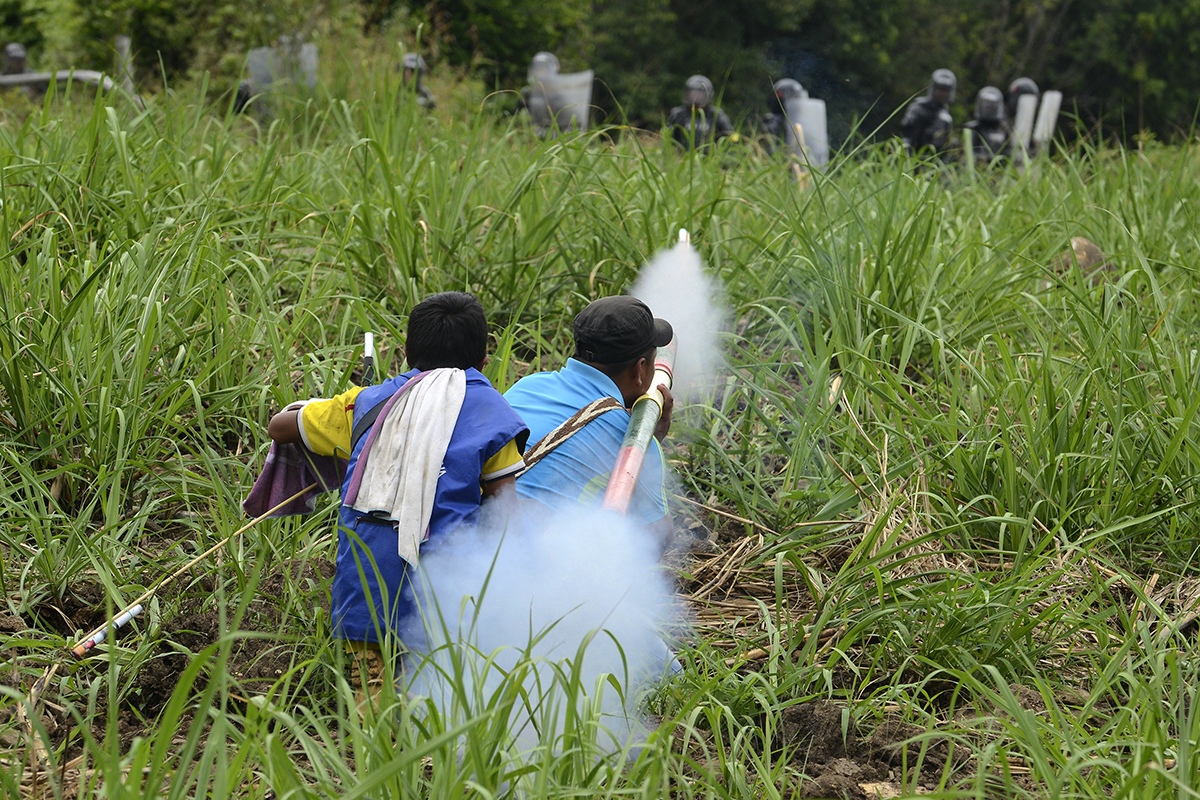 Entretien avec Damien Fellous