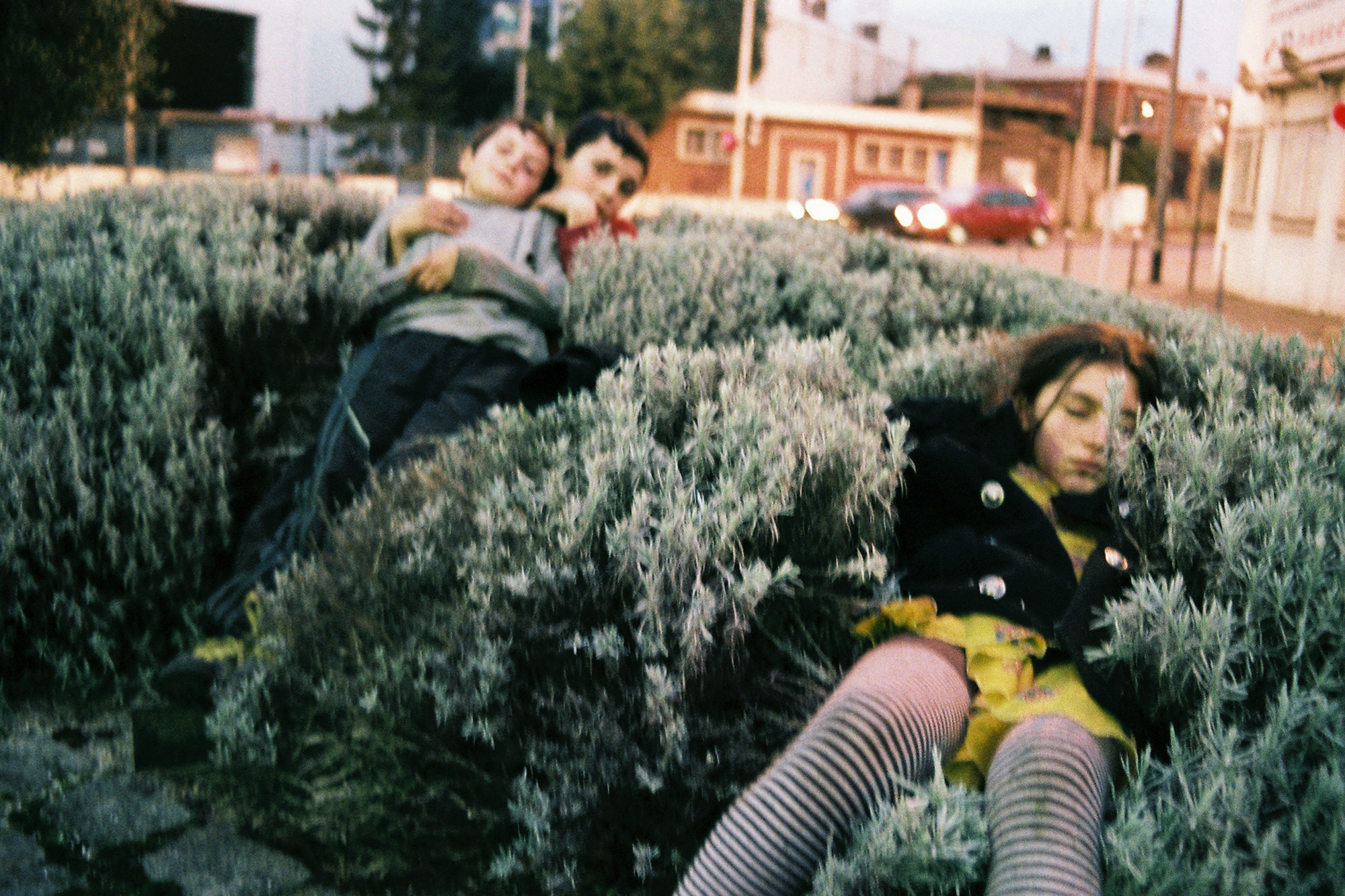 Entretien avec Rose Lecat