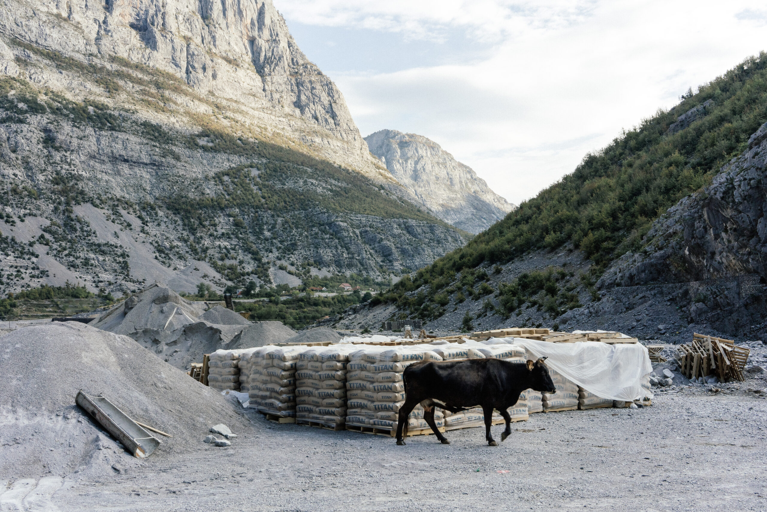 Entretien avec Denis Meyer