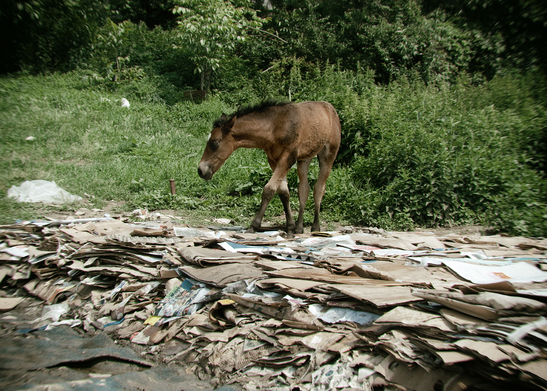 Entretien avec Denis Meyer