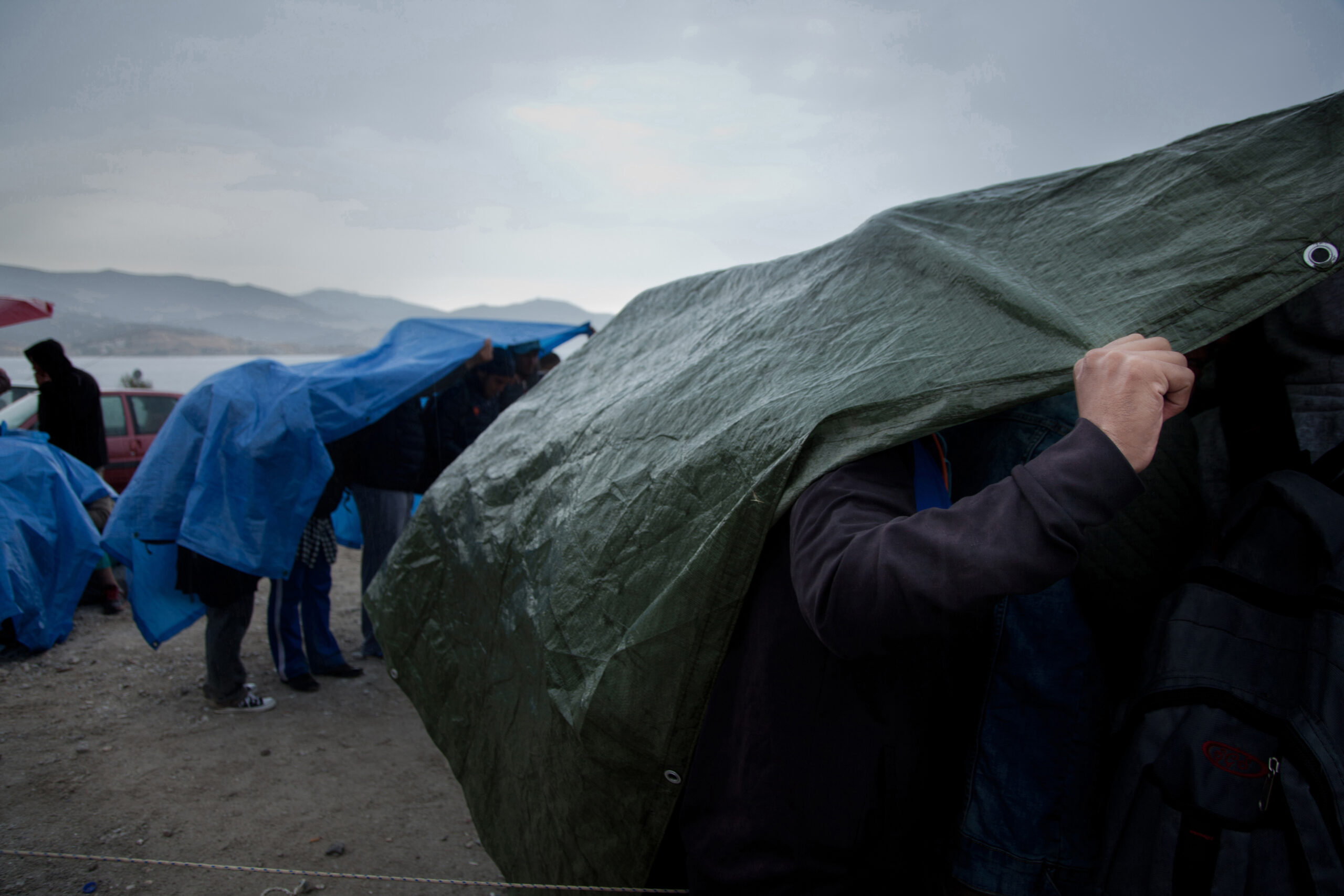 Entretien avec Livia Saavedra