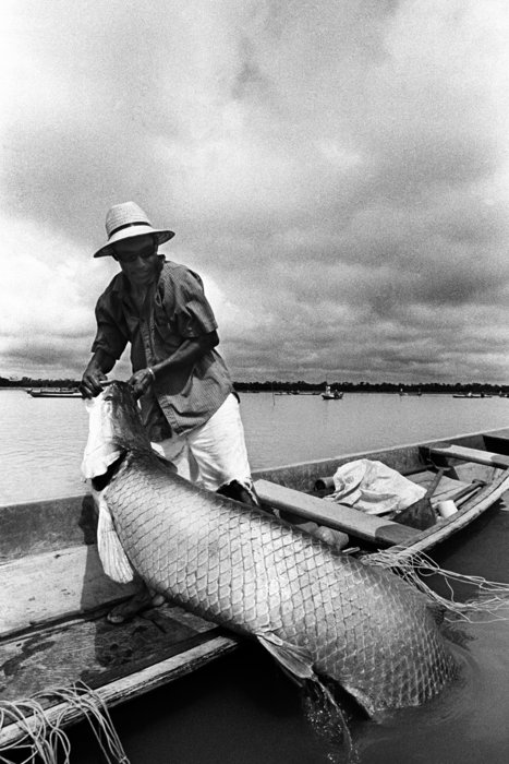 Entretien avec Rafael Catanheira