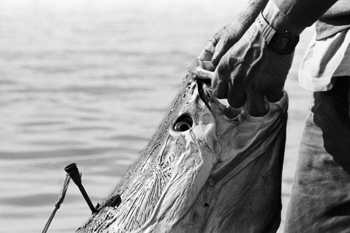 Entretien avec Rafael Catanheira