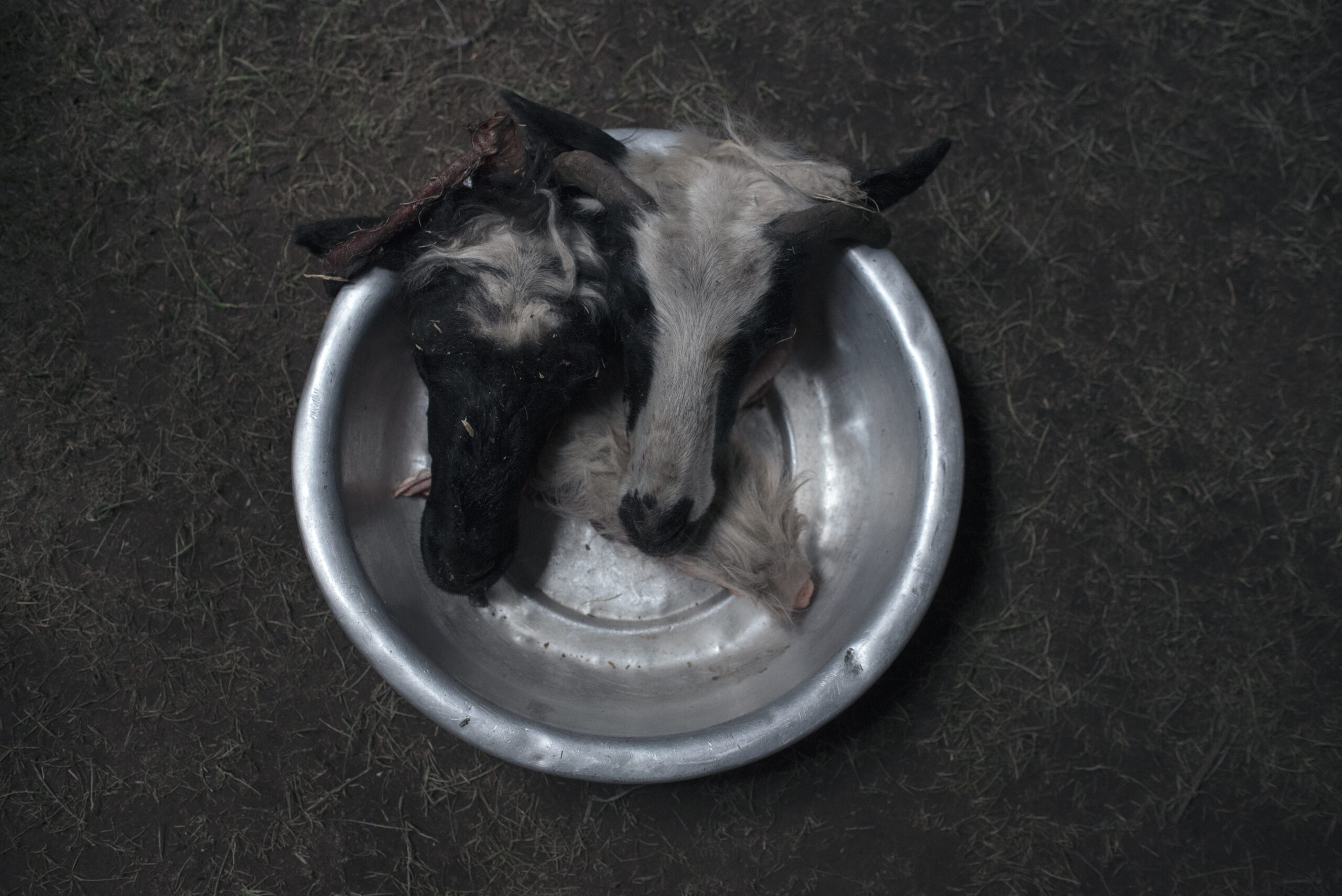 Entretien avec Didier Bizet