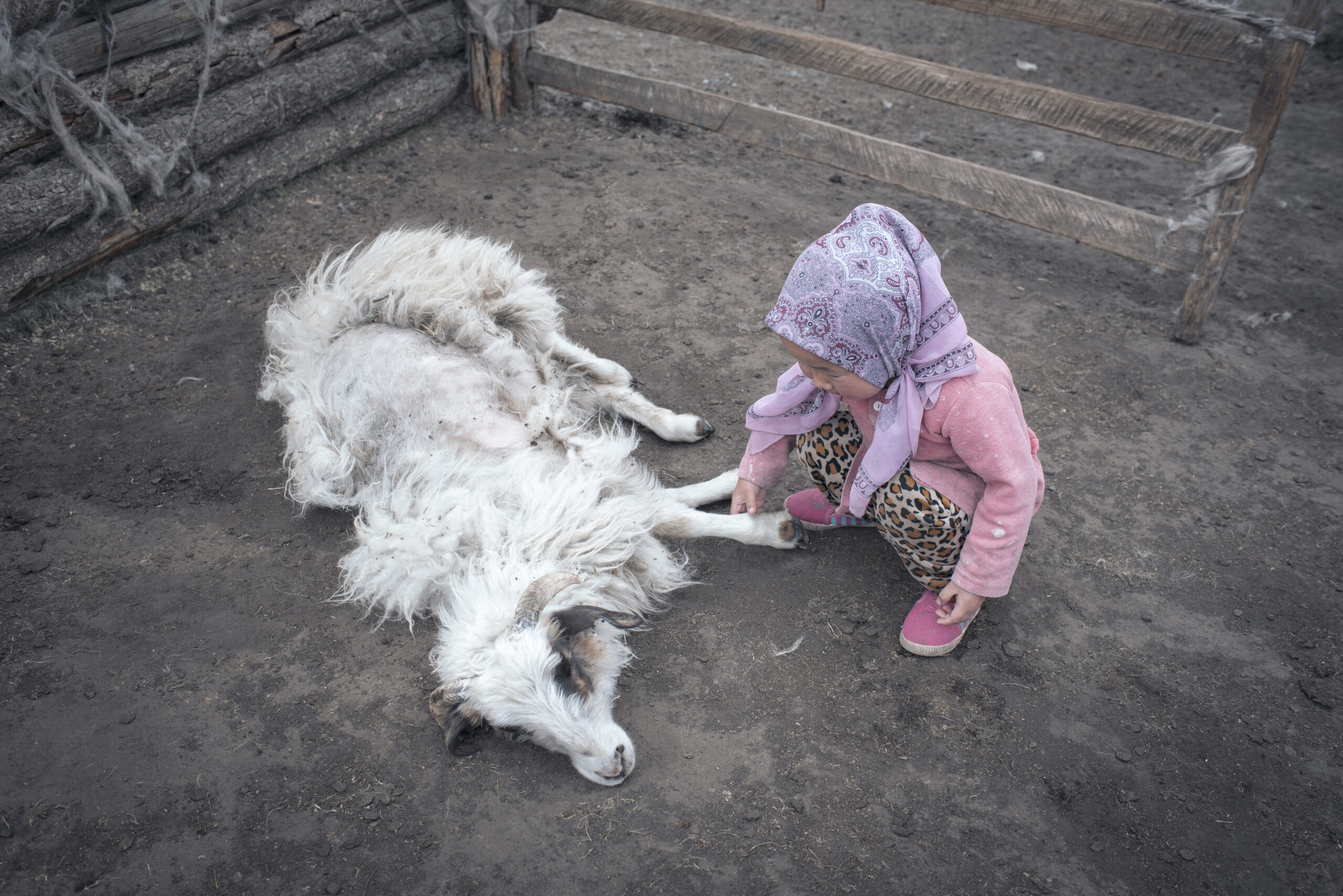 Entretien avec Didier Bizet