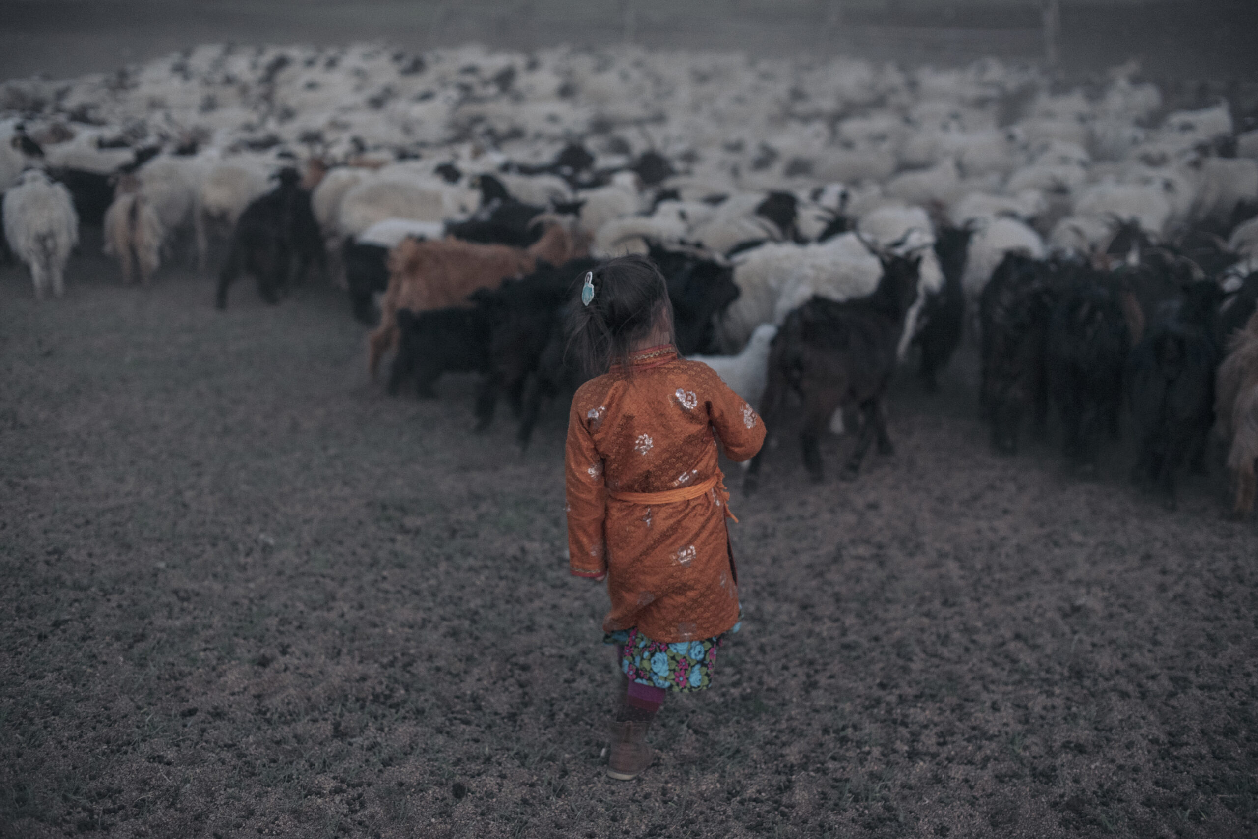 Entretien avec Didier Bizet