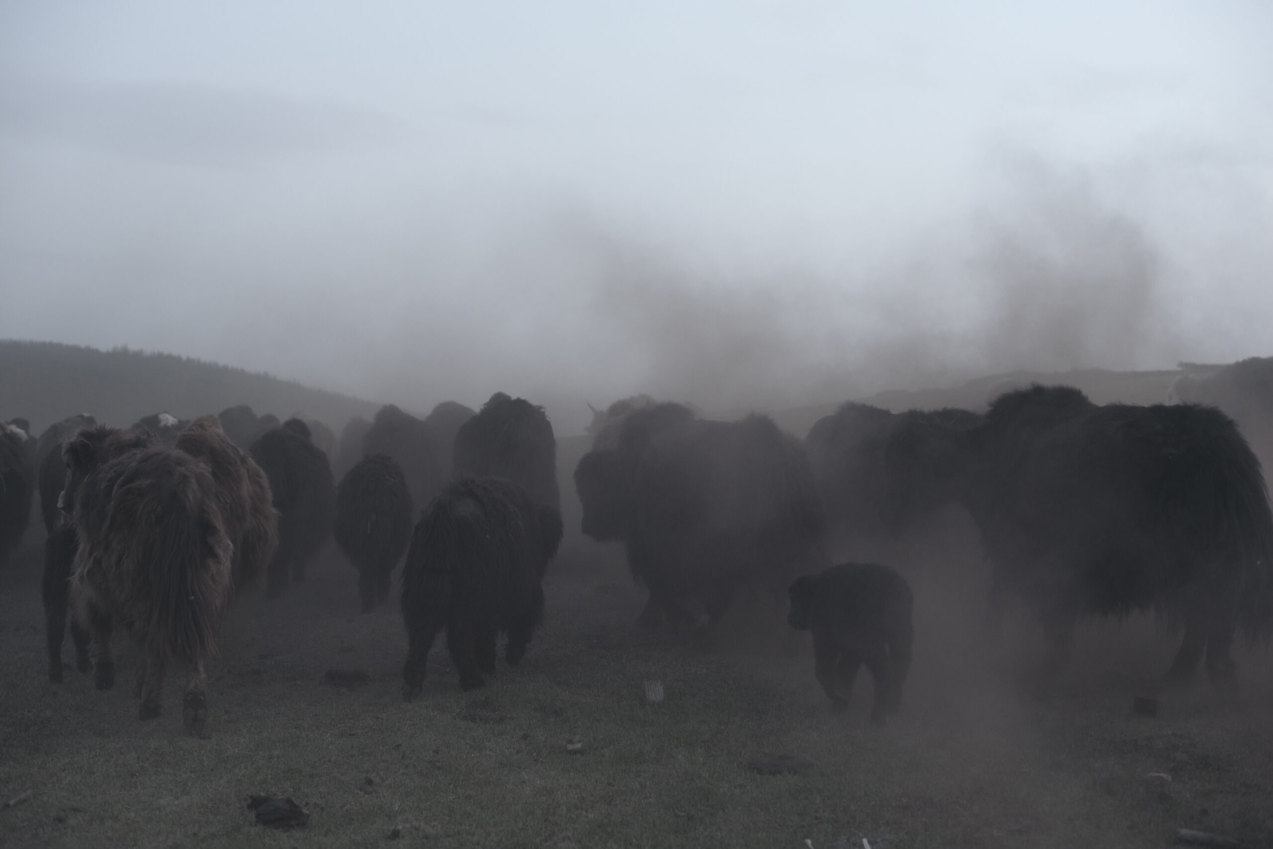 Entretien avec Didier Bizet