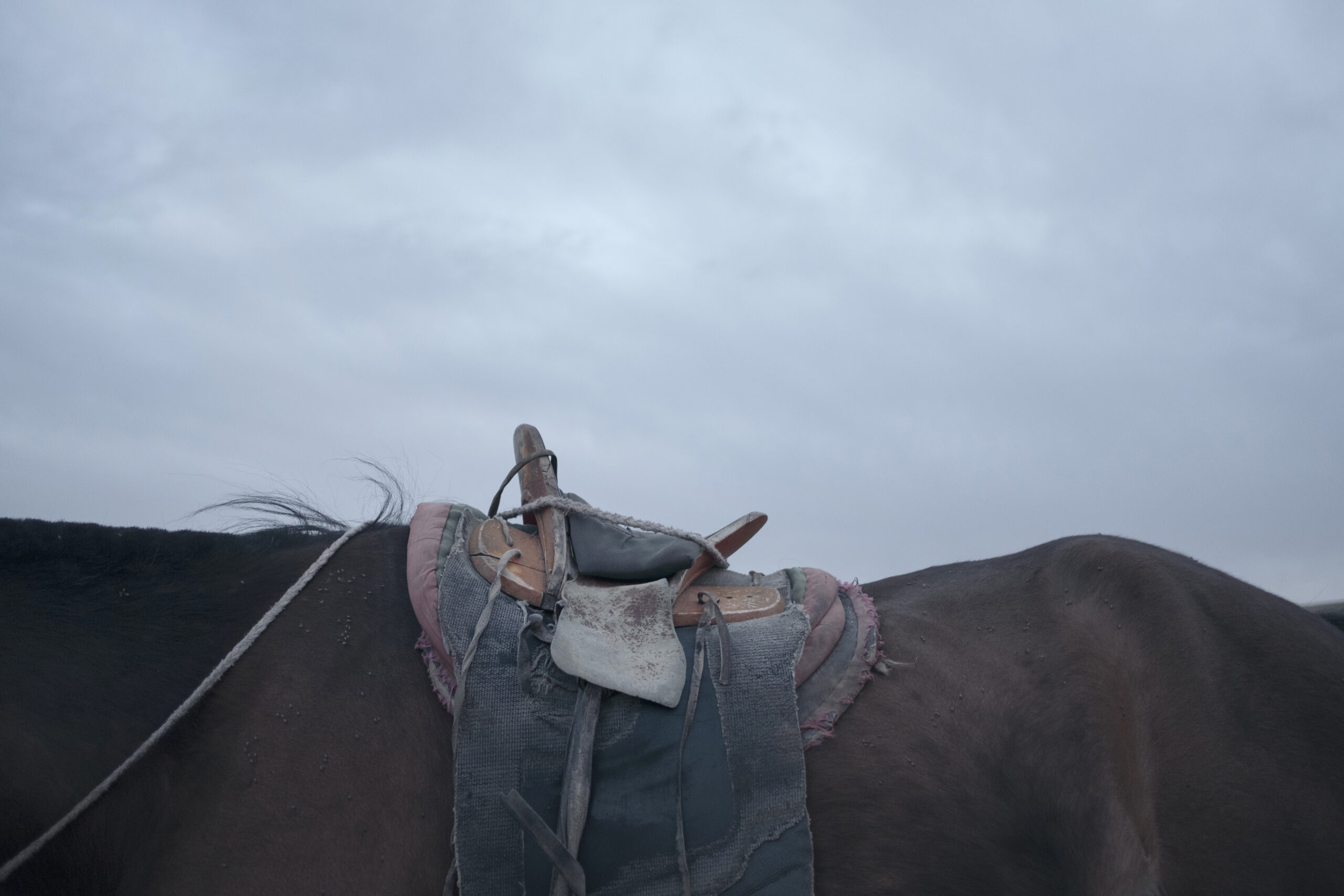 Entretien avec Didier Bizet