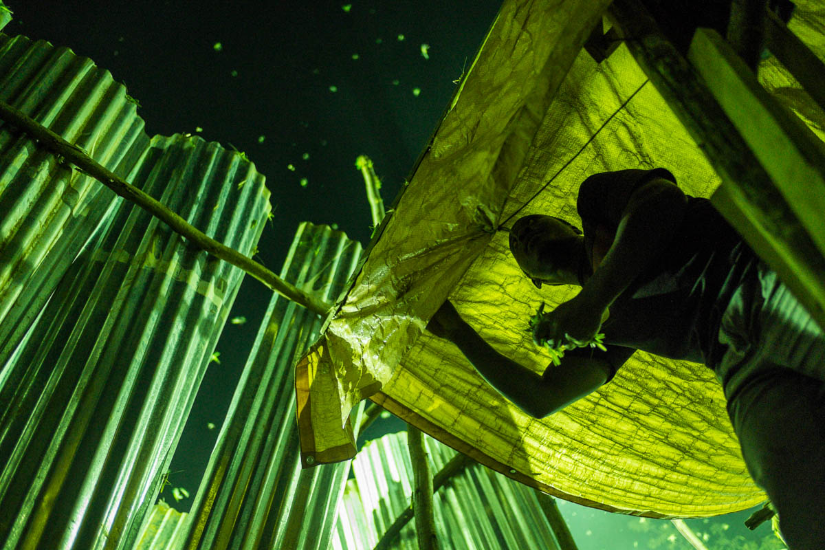 Entretien avec Eugénie Baccot