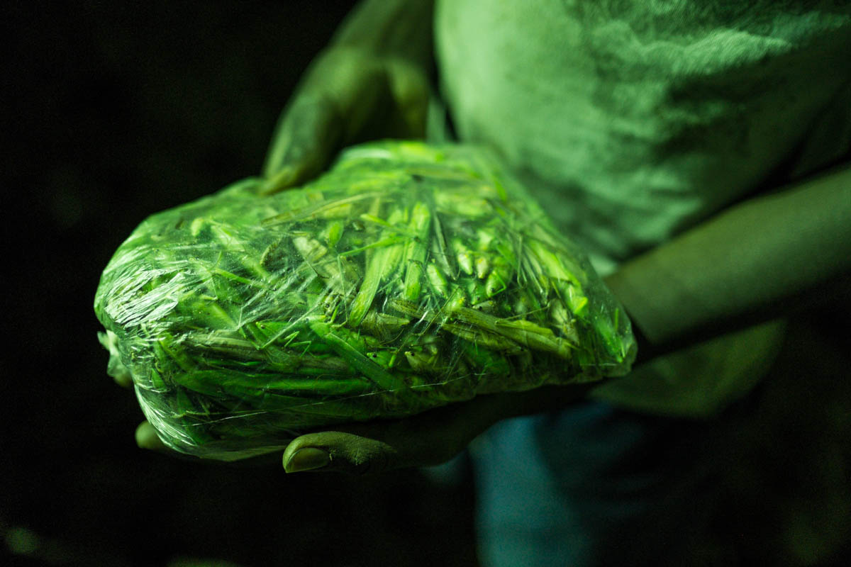 Entretien avec Eugénie Baccot