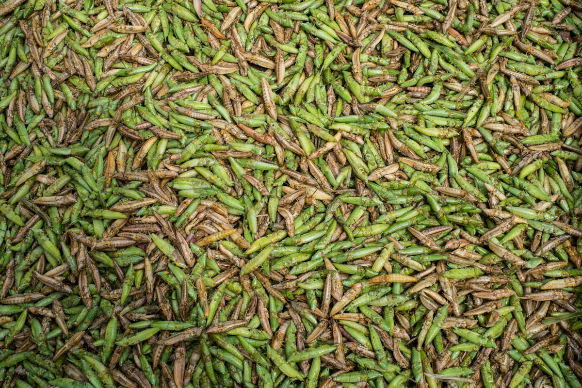 Entretien avec Eugénie Baccot