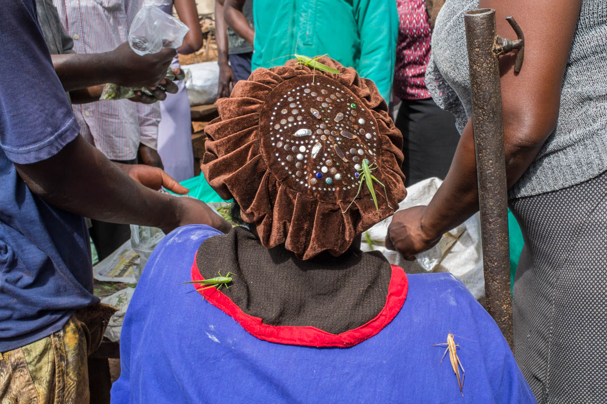Entretien avec Eugénie Baccot