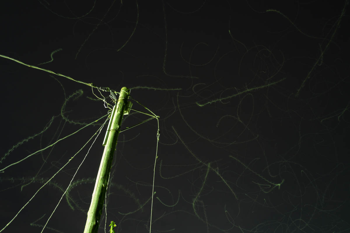 Entretien avec Eugénie Baccot