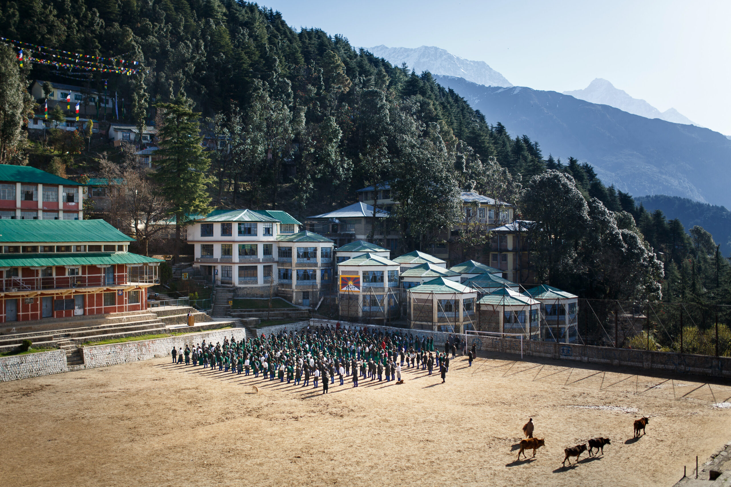 Entretien avec Anthony Micallef