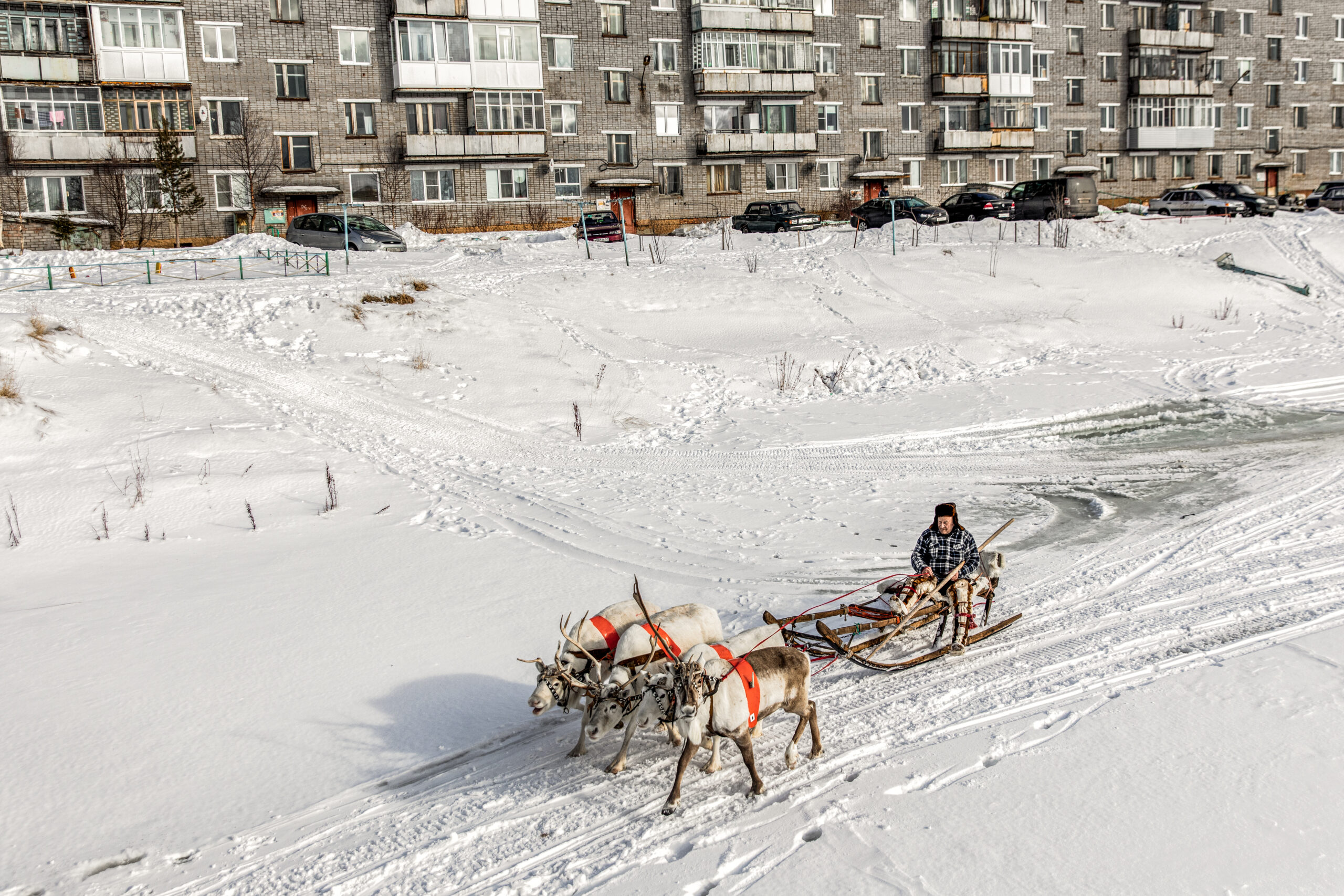 A reindeer herder, Igor Chuprov, speeds on his sled past residential buildings in the village of Lovozero. He has just taken part in a reindeer driving competition during Prazdnik Severa ("the festival of the North"). Formerly semi-nomadic, the Saami community is largely represented in this “rural colony” of 3,000 inhabitants.