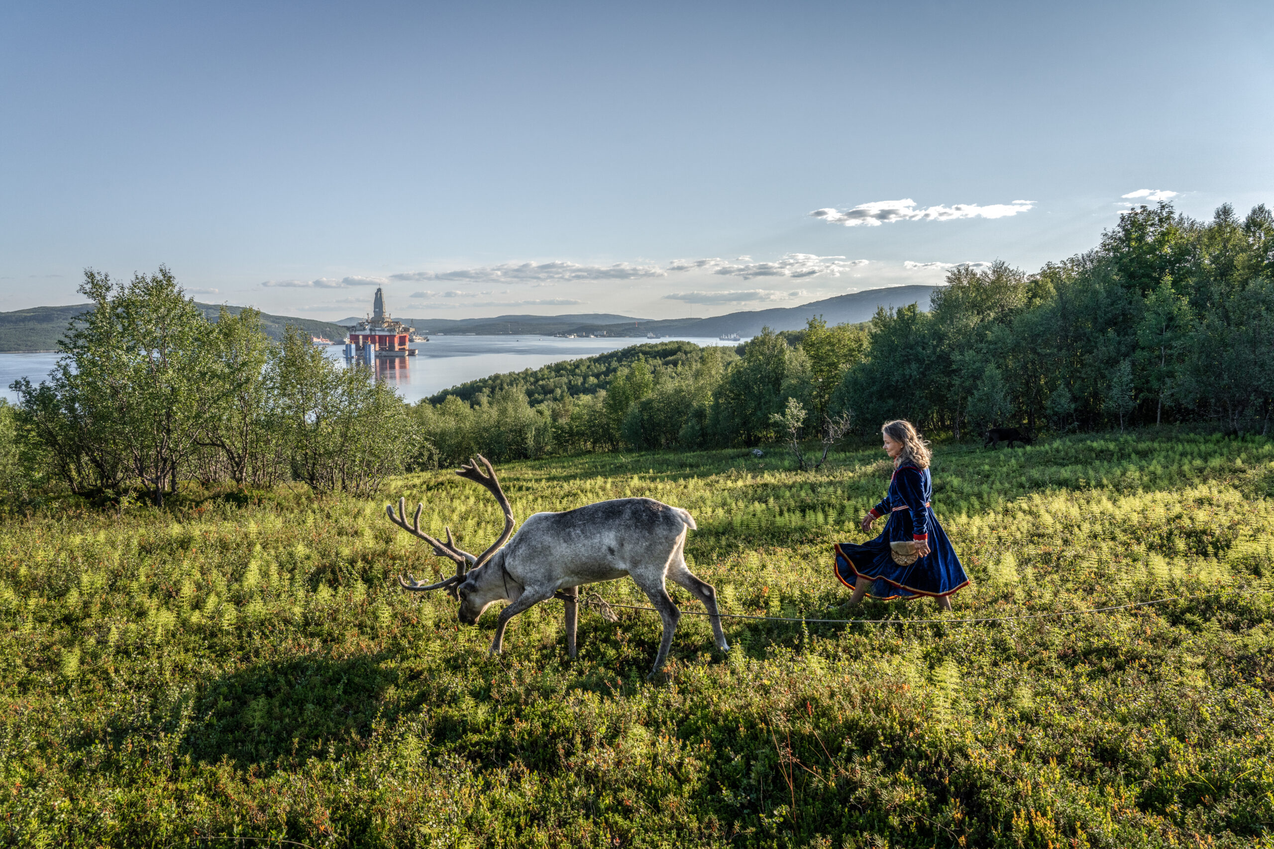 At the end of the day, Elena Yakovleva, Uliana's aunt, walks her reindeer along Kola Bay, near her Saami mini ethno-village which she has reconstructed to promote the saami culture.
In the background, the Gazprom "Aurora Borealis" drilling rig was moored in the roadstead opposite Murmansk. Coming from the Vladivostok region, in the east of Russia, it had to be delivered by the Cape of Good Hope to reach the west of the country. Constrained by its dimensions, the 34,000-ton building could not indeed take the northern sea route obstructed by ice, nor even the Suez Canal.