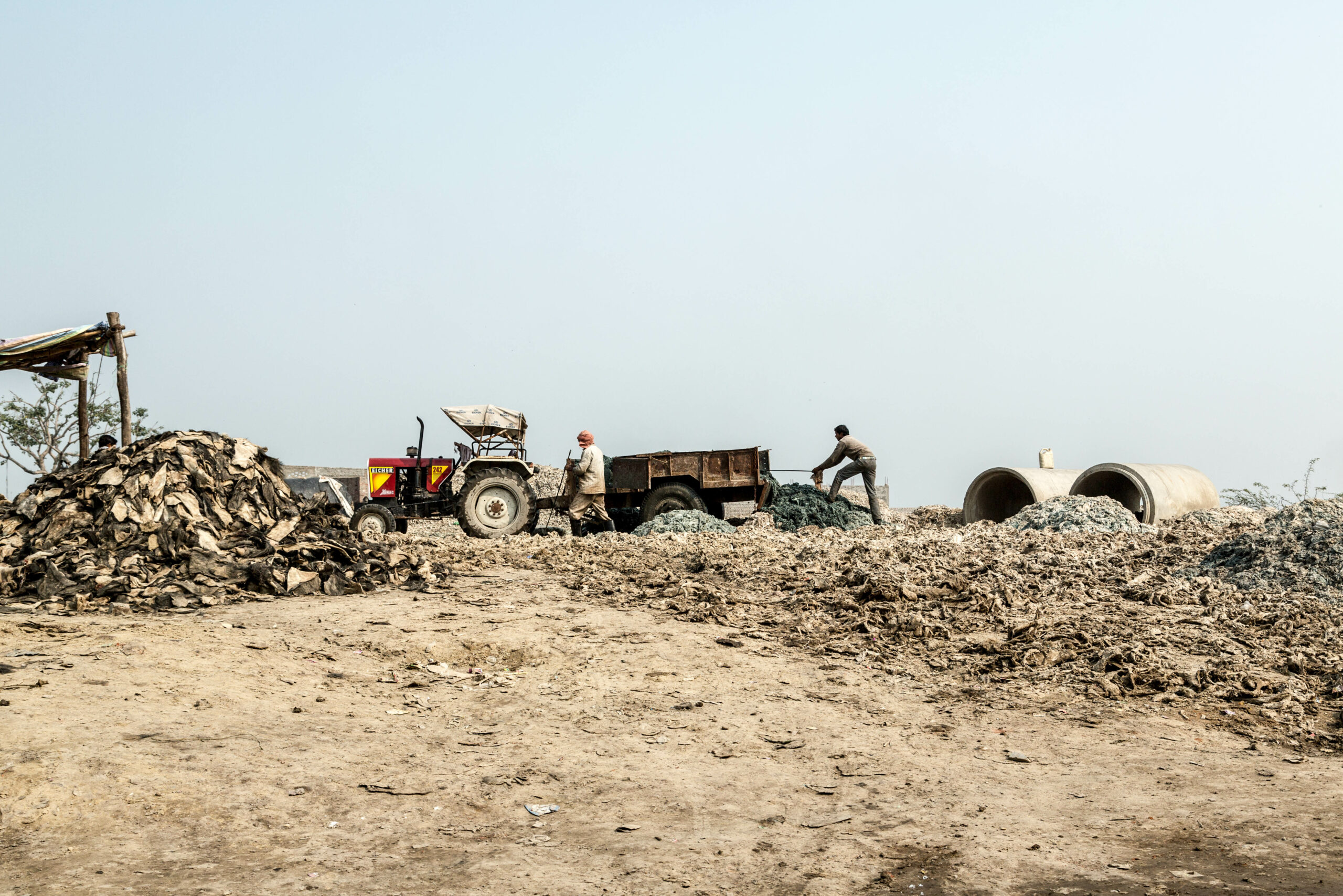 Entretien avec Laurent Rigaux