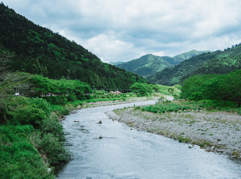 JE REPARE VOS MEMOIRES - Tristana Carrasco